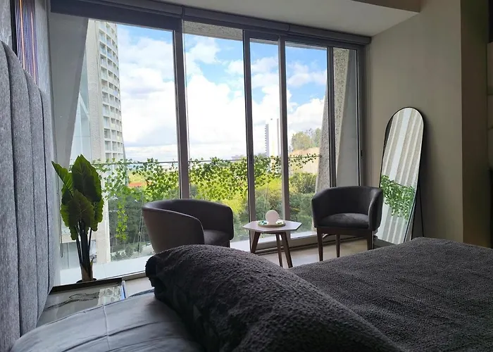 Luxury Loft On Av Santa Fe With A Mexican View Apartment Mexico City